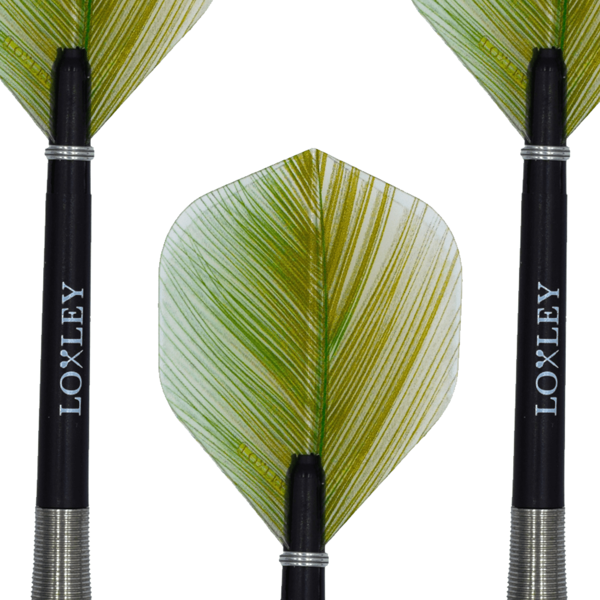 Loxley Bishop - 95% Tungsten Steel Tip Darts Darts