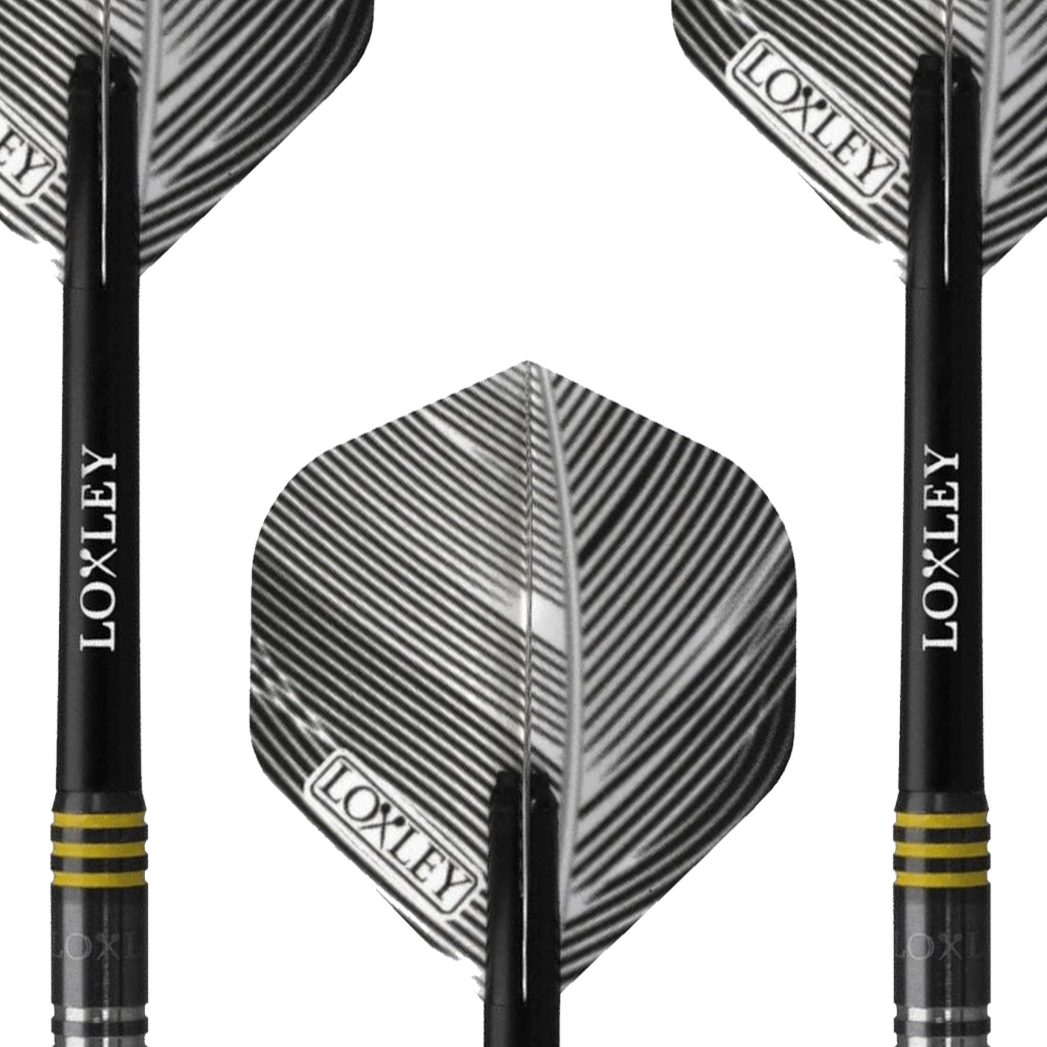Loxley Massacre - 90% Tungsten Steel Tip Darts 25 Grams Darts